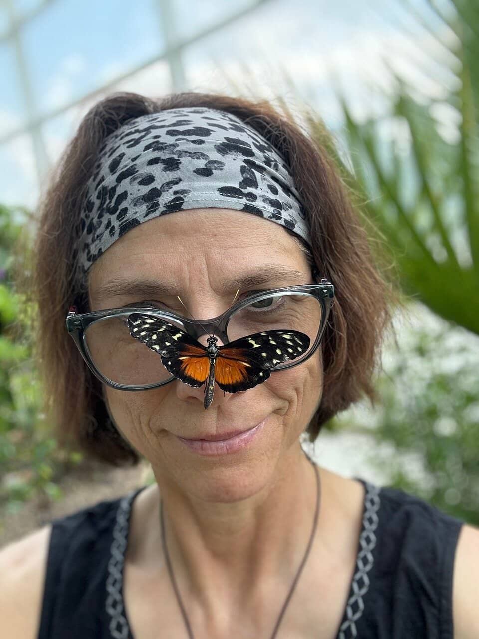 Butterflies in Flight