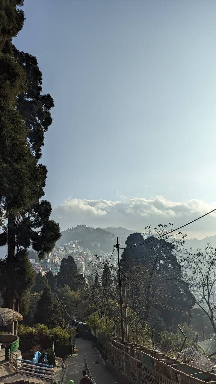 Observatory Hill Viewpoint