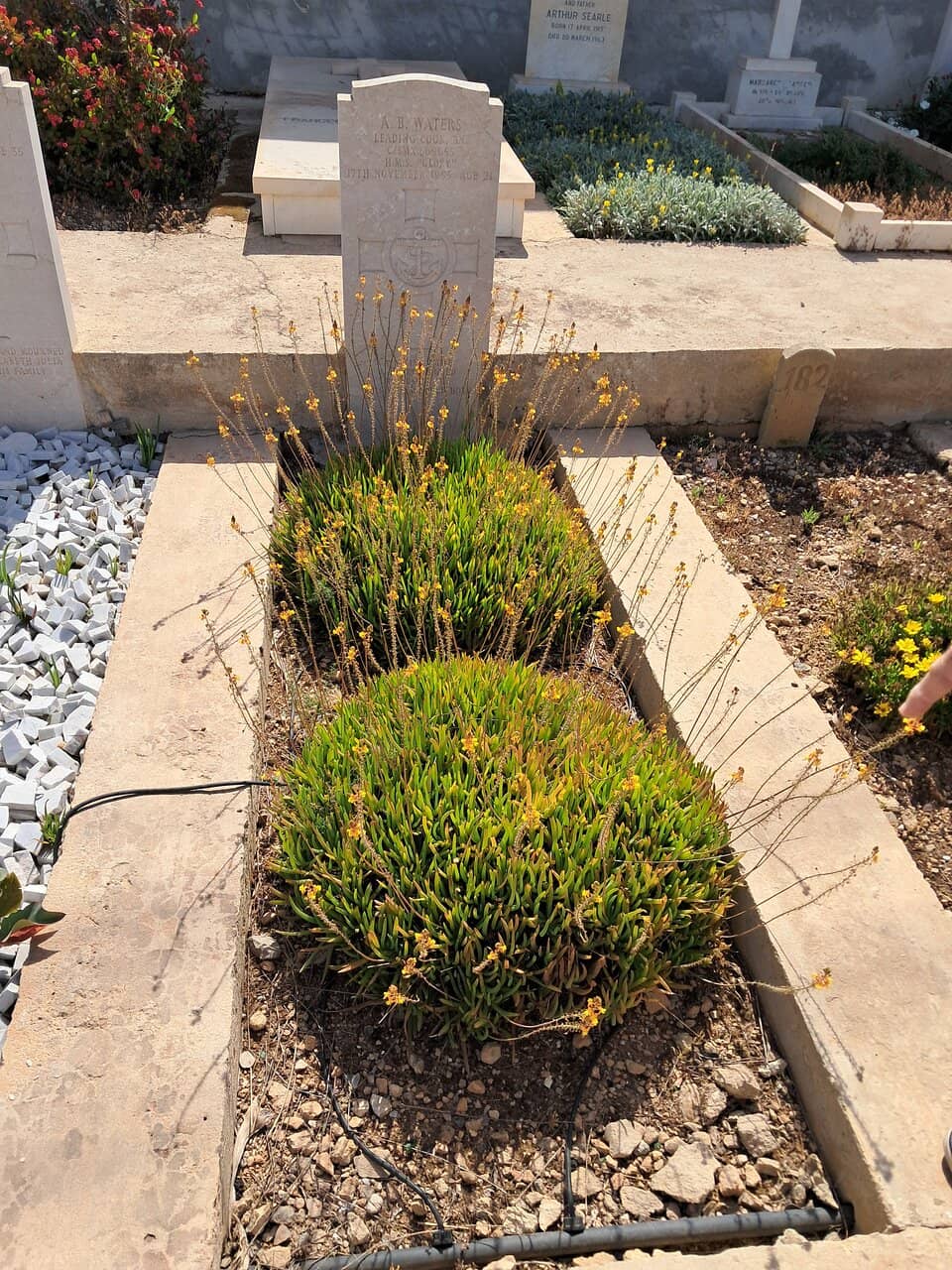 Japanese Naval Graves