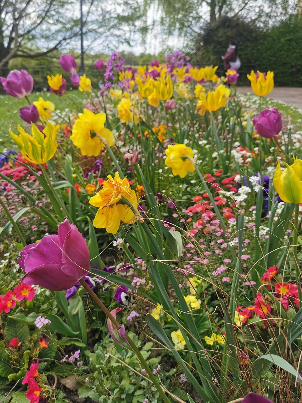 Peaceful Stream & Gazebo