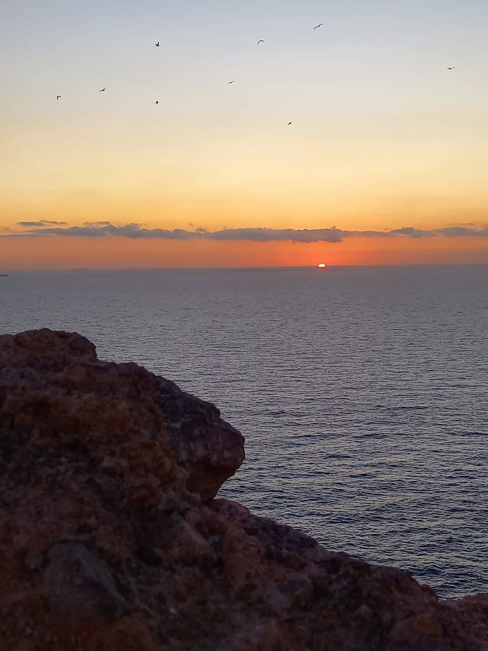 Hiking and Strolling