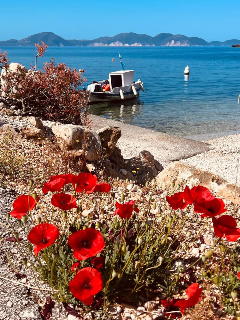 Beachfront Taverna Delights