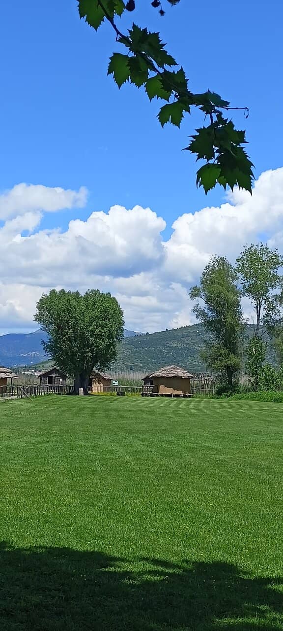 Archaeological Insights