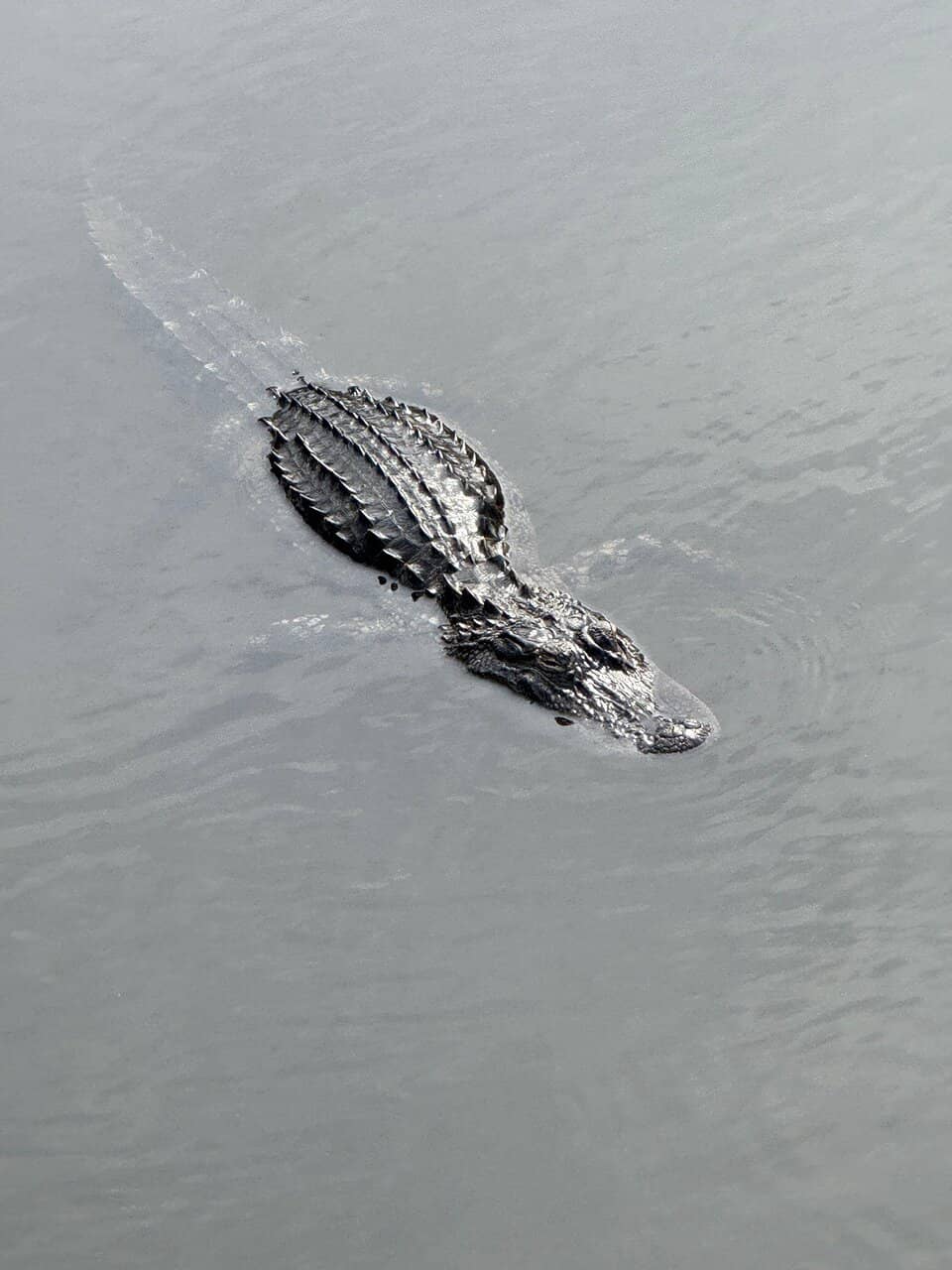 Wadsworth Skate Park