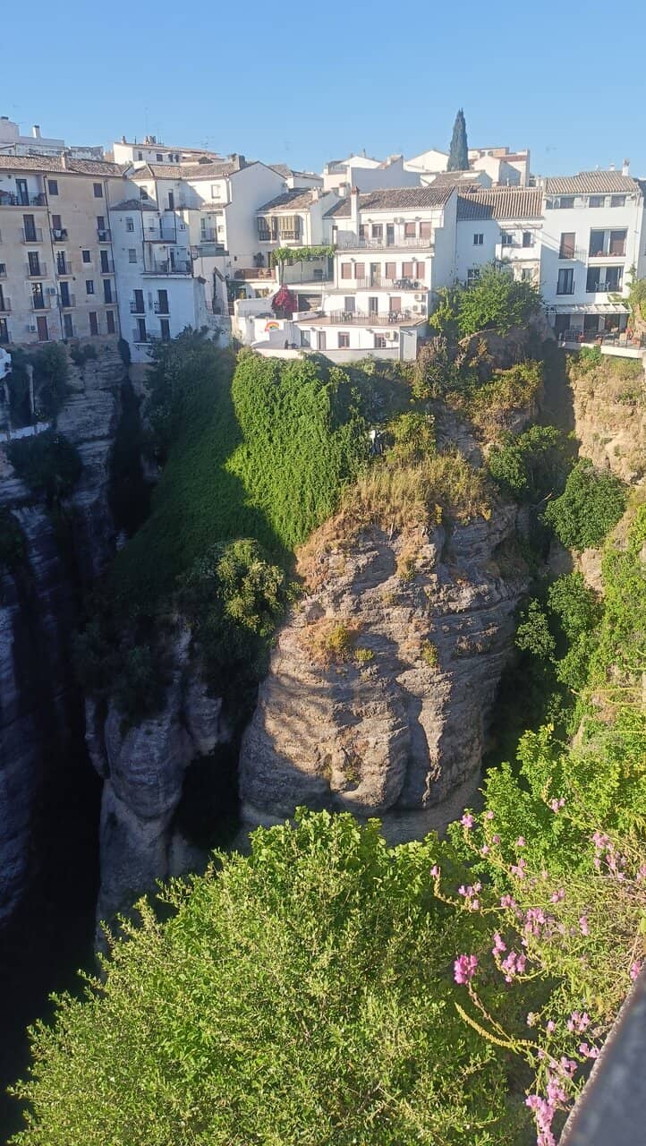 Vertical photo
