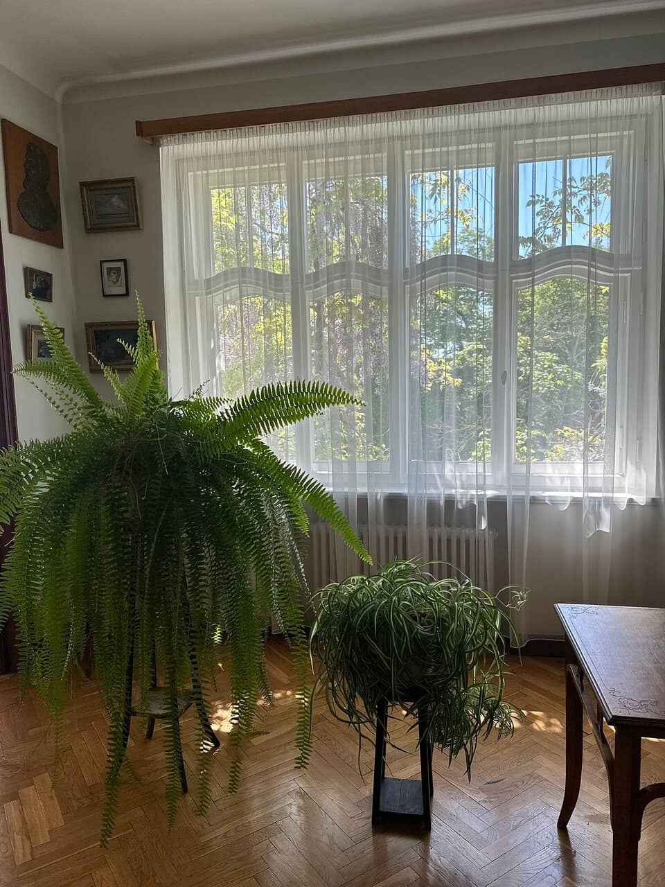 Lithuanian Folklore Focus