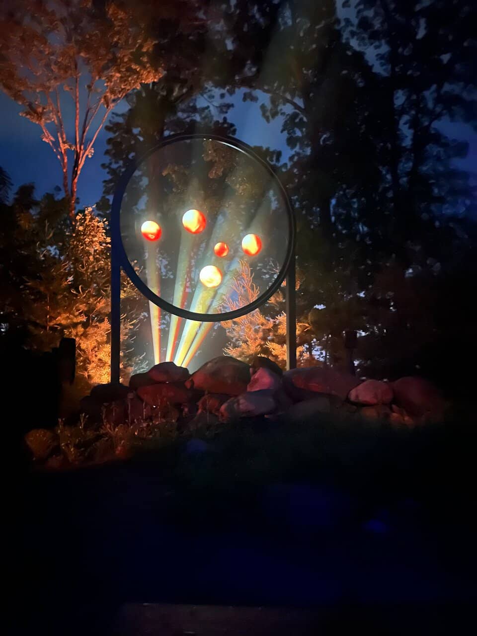 Enchanted Night Walk