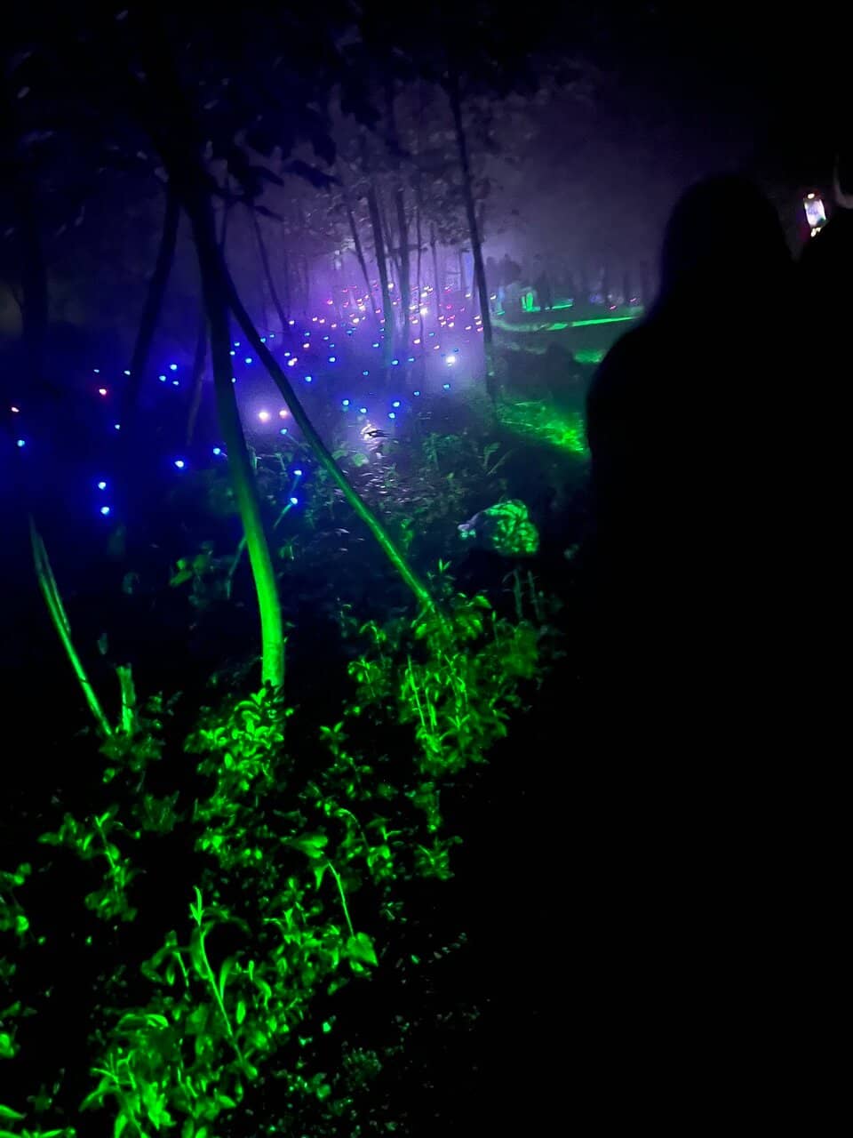 Interactive Art and Soundscapes