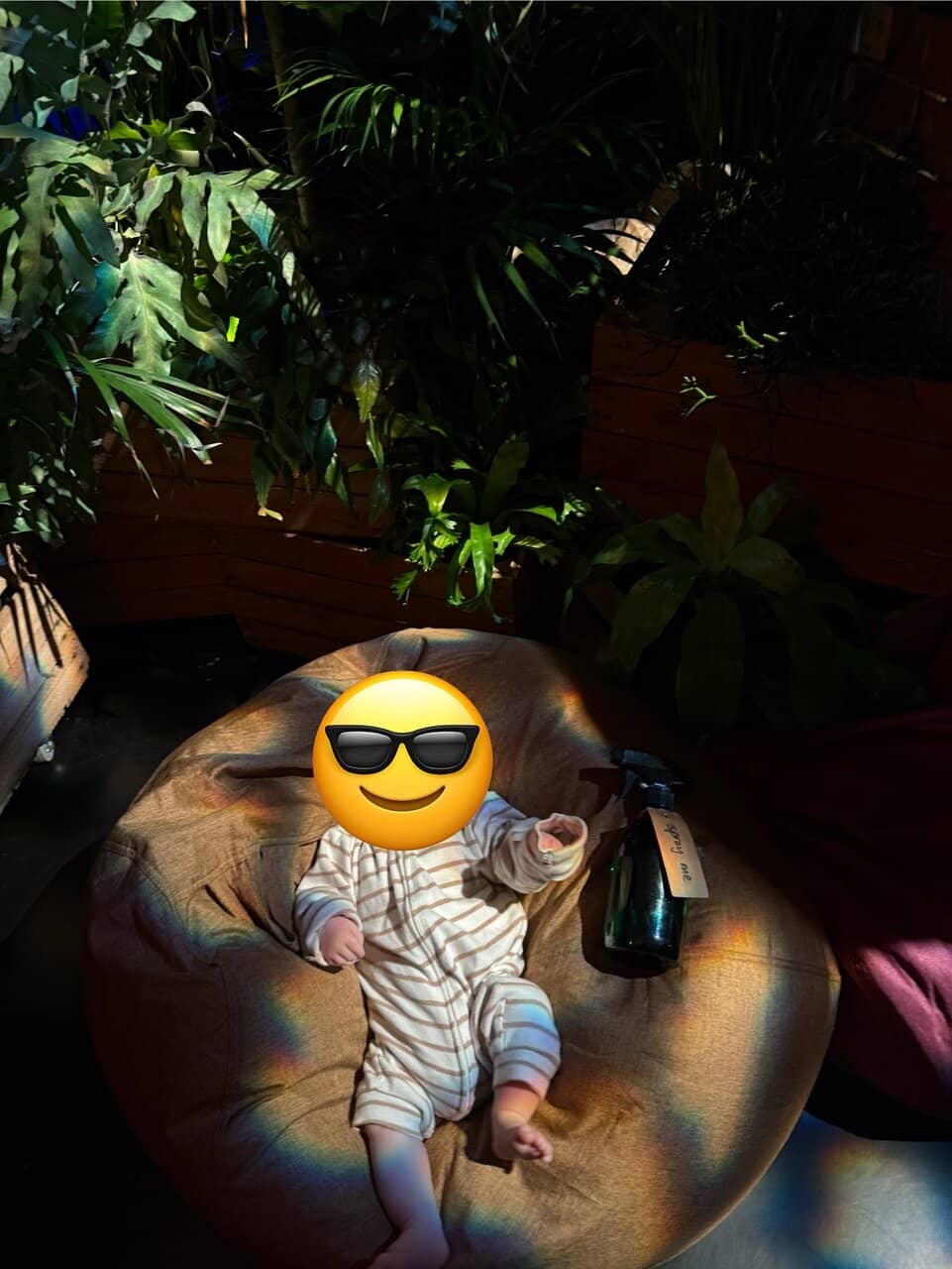 Themed Events & Children's Theatre