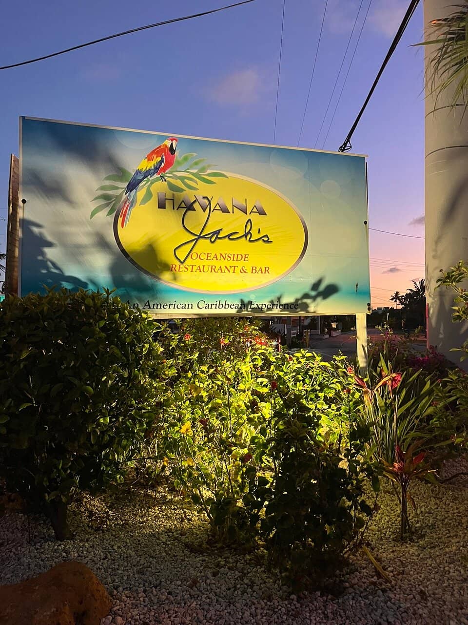 Signature Pizza and Key Lime Pie