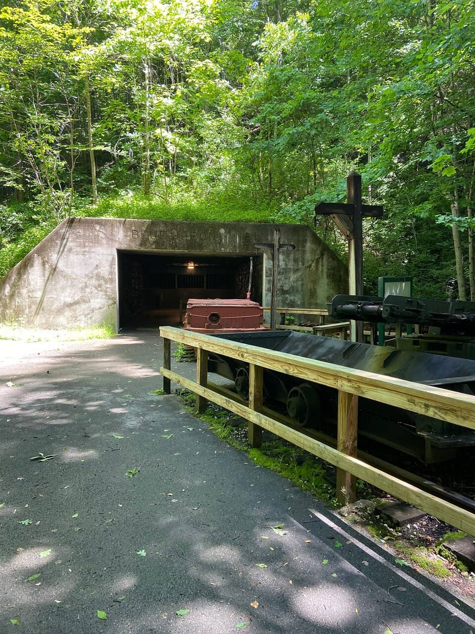 The Polar Express Experience