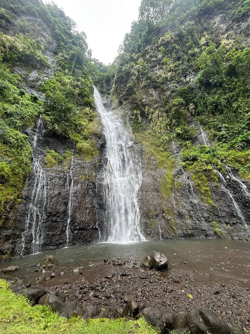 Serene Jungle Setting