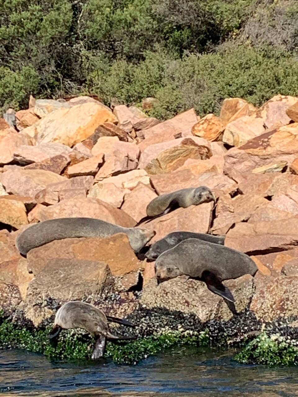 Beachfront Relaxation