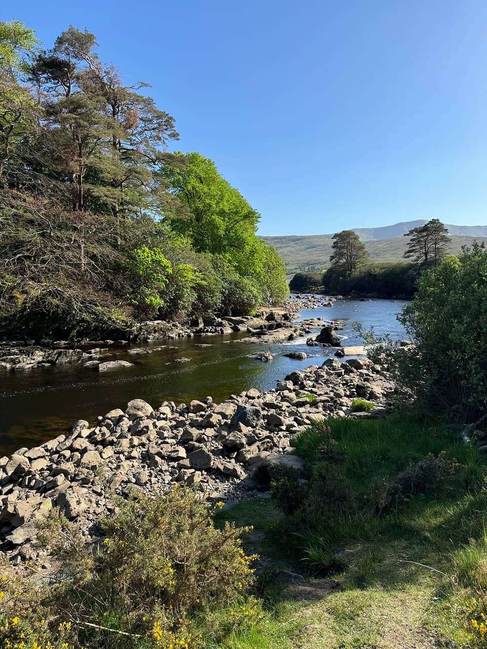 Scenic Roadside Views