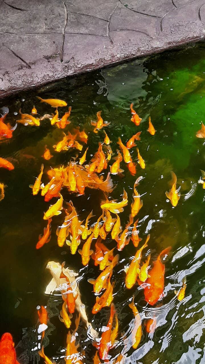 Outdoor Tribal Village