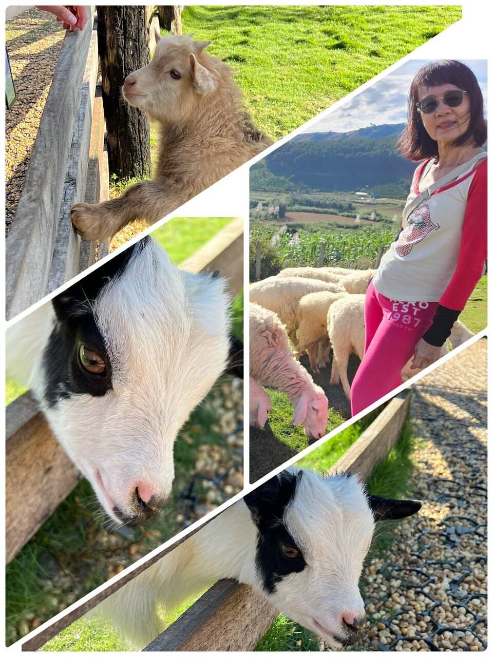 Vinh Tien Wine Cellar