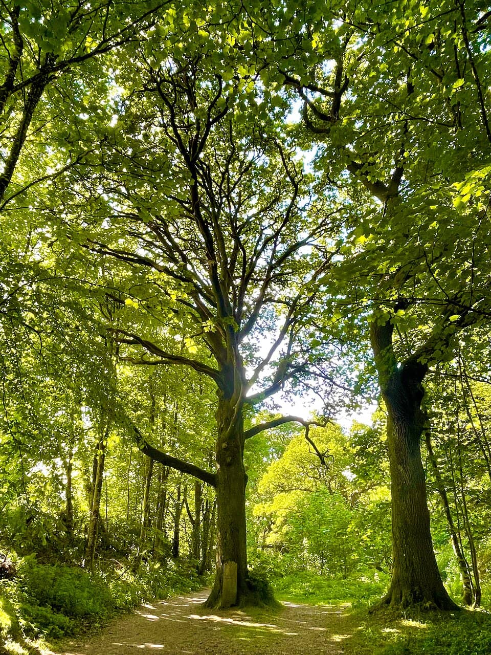 River Tay Riverside Walk