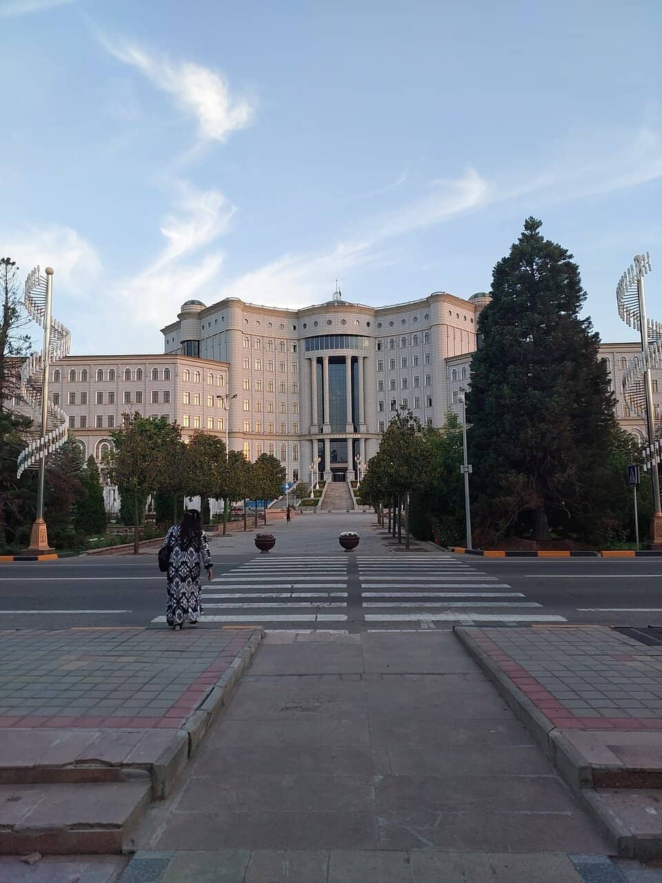 Vast Book Collection