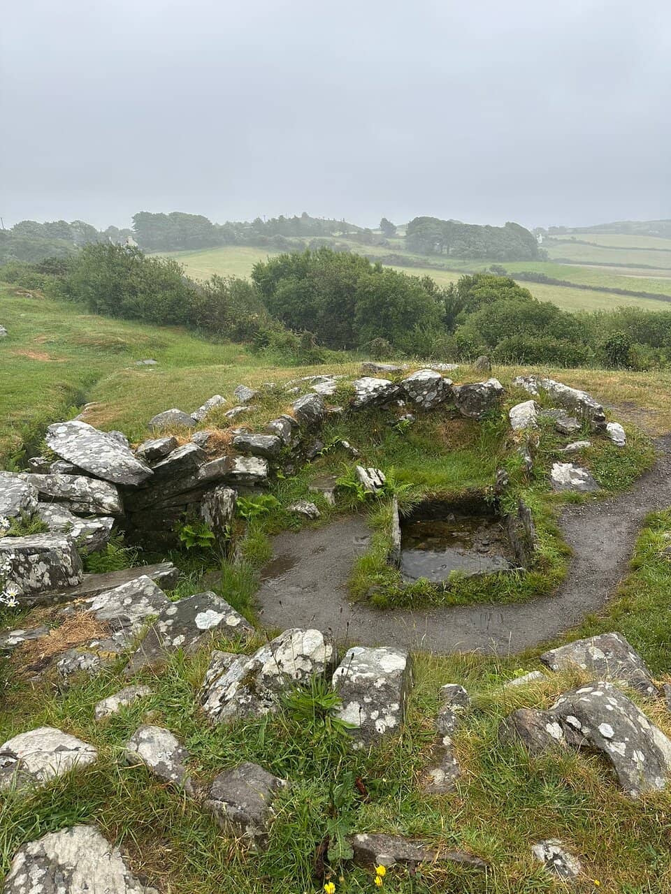 Ancient Cooking Pit (Fulacht Fia)