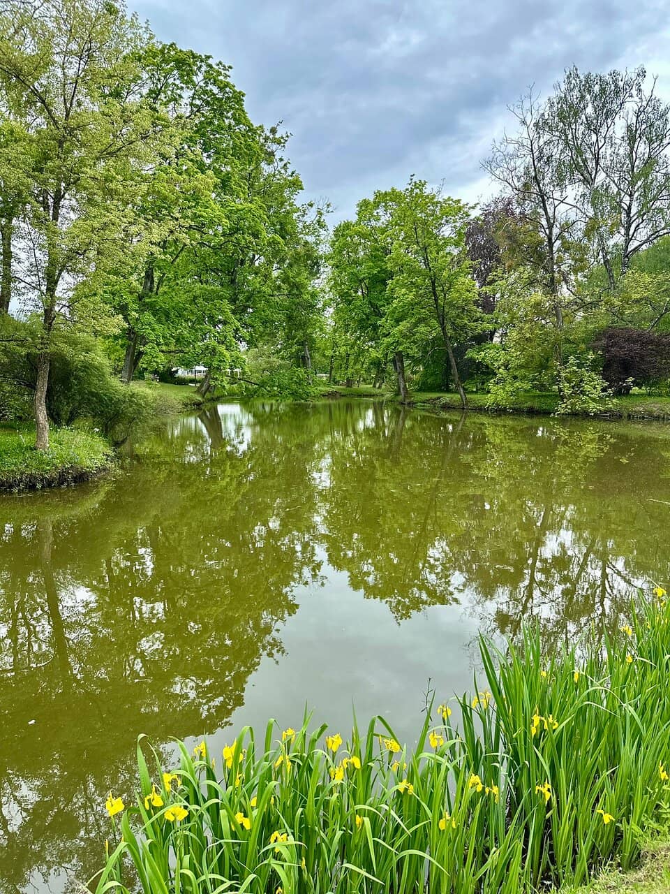 Tranquil Ponds and Water Features