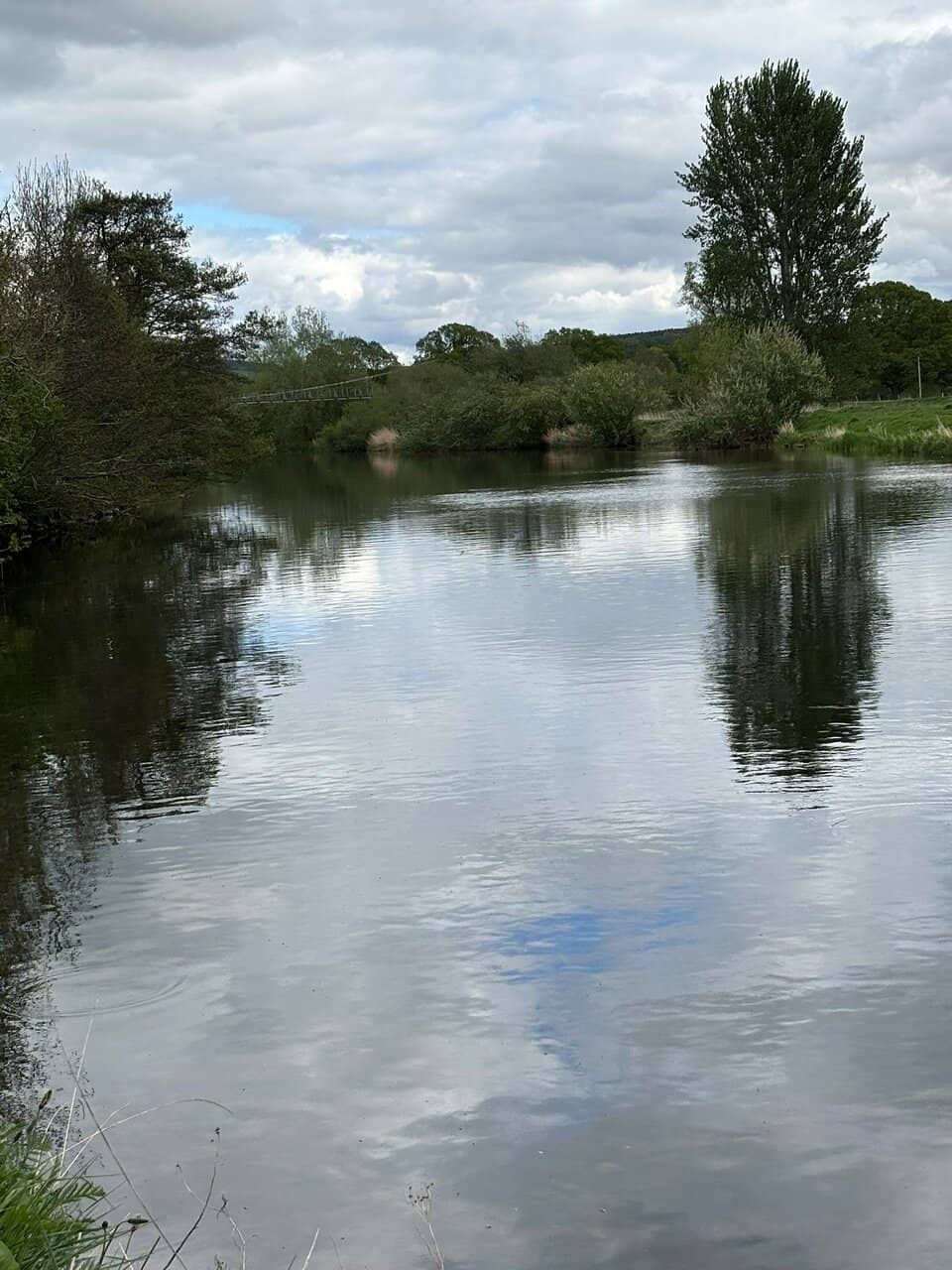 Monteviot Garden Lights