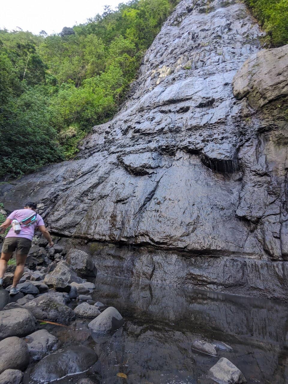 Freshwater Eel Spotting