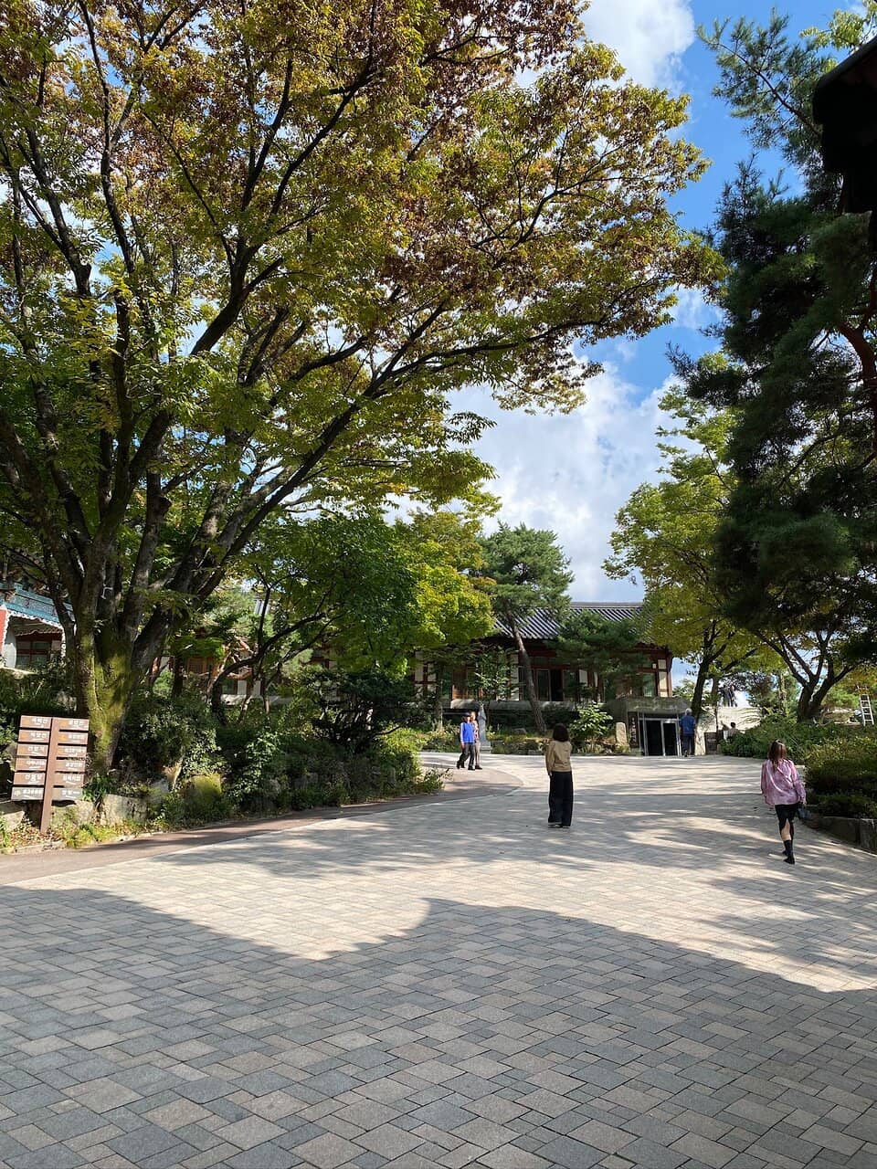 Tea Ceremony Experience