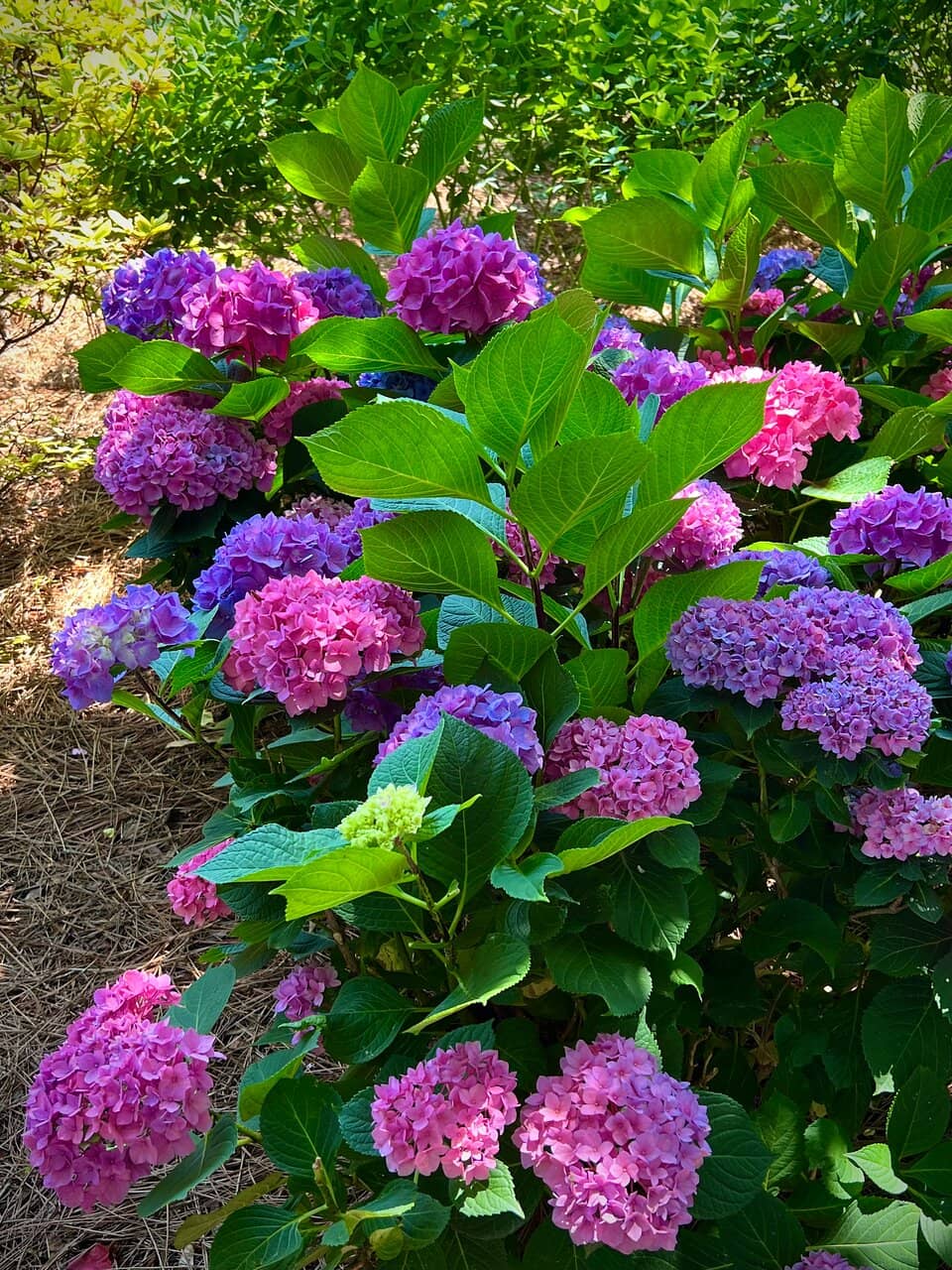 Sculptural Elements & Seating