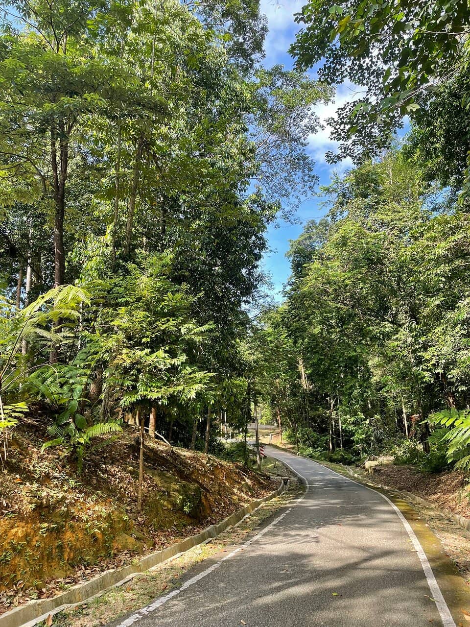 Ancient Rock Formations