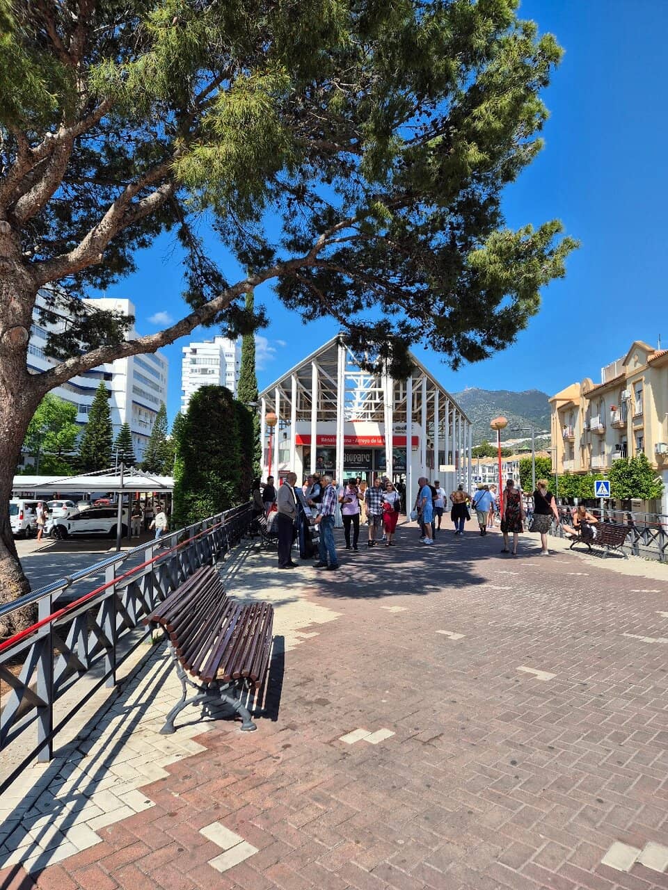 Panoramic Coastal Views