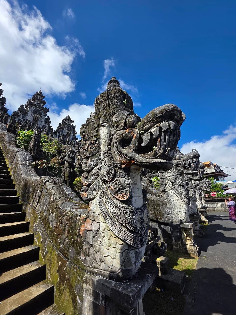 Picturesque Park Setting