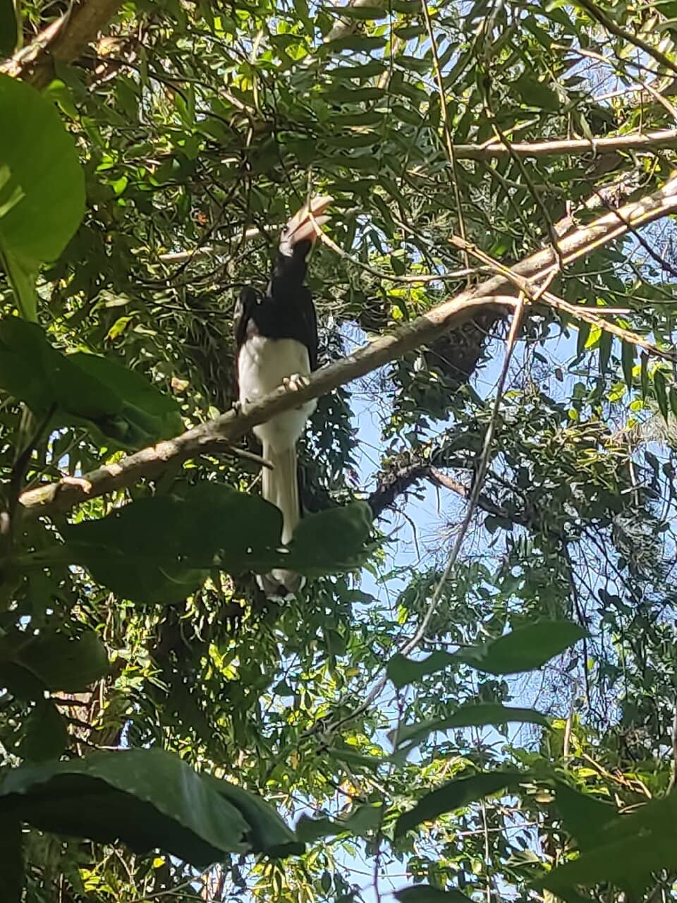 Educational Exhibition Hall
