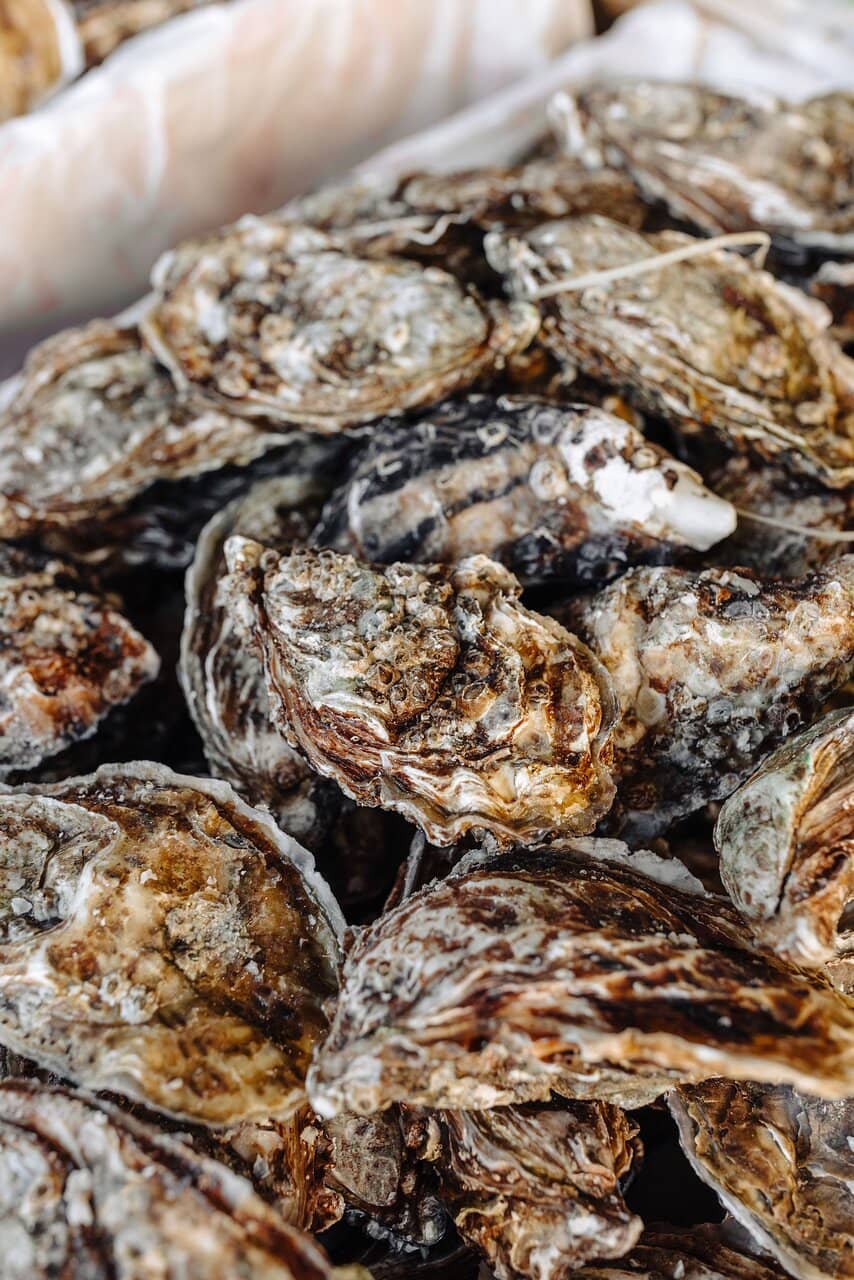 Historic Brasserie Ambiance