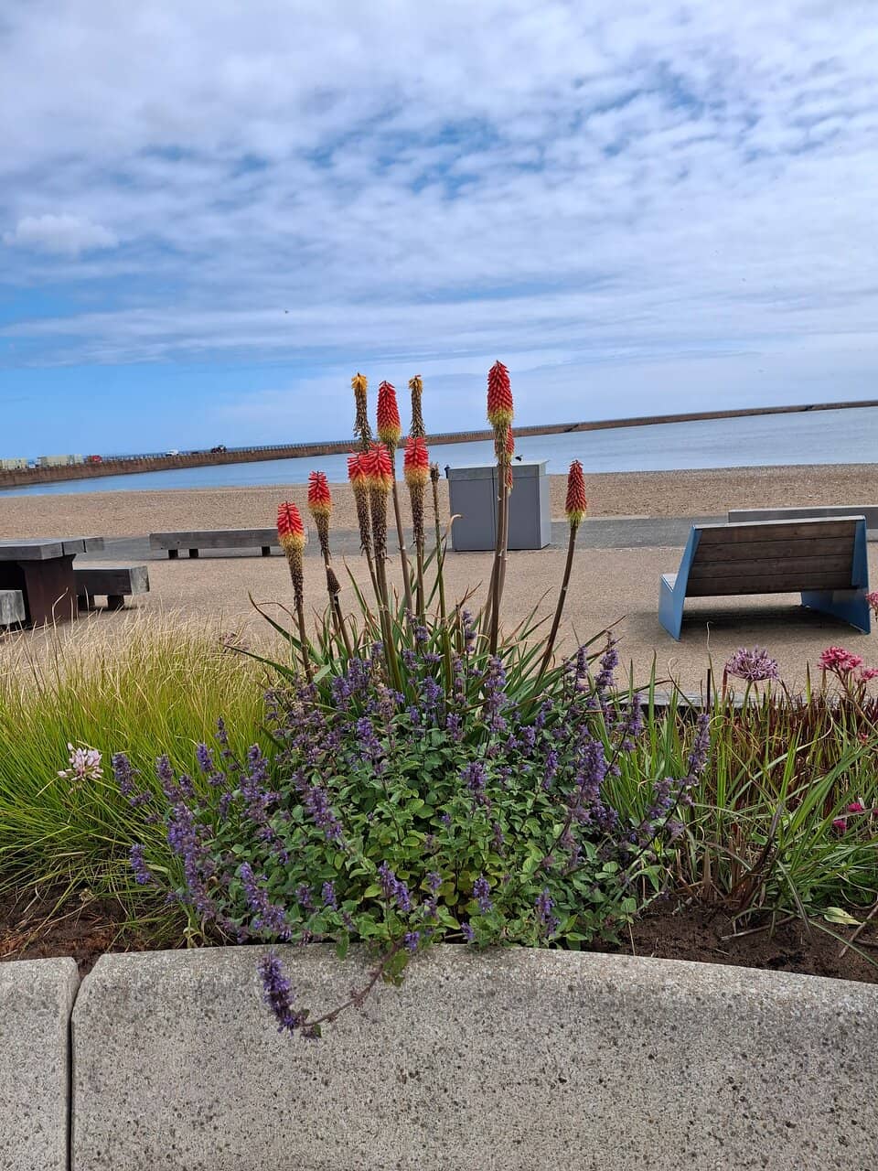 Fairy Dell and Caves