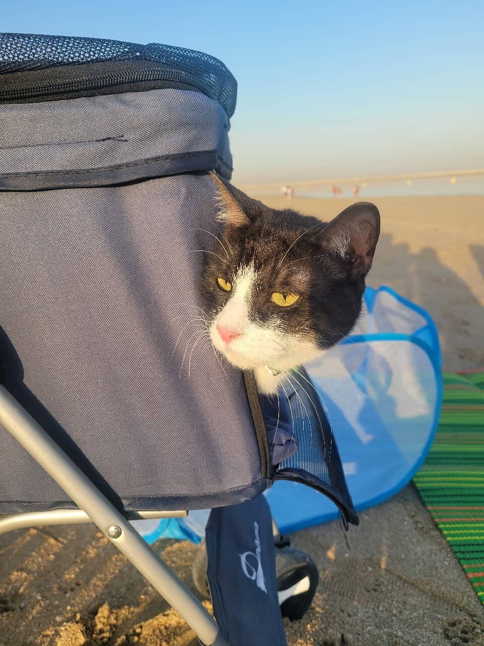 Scenic Sunsets & Sunrises