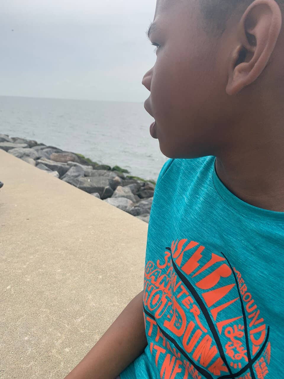 The 1619 Arrival Site