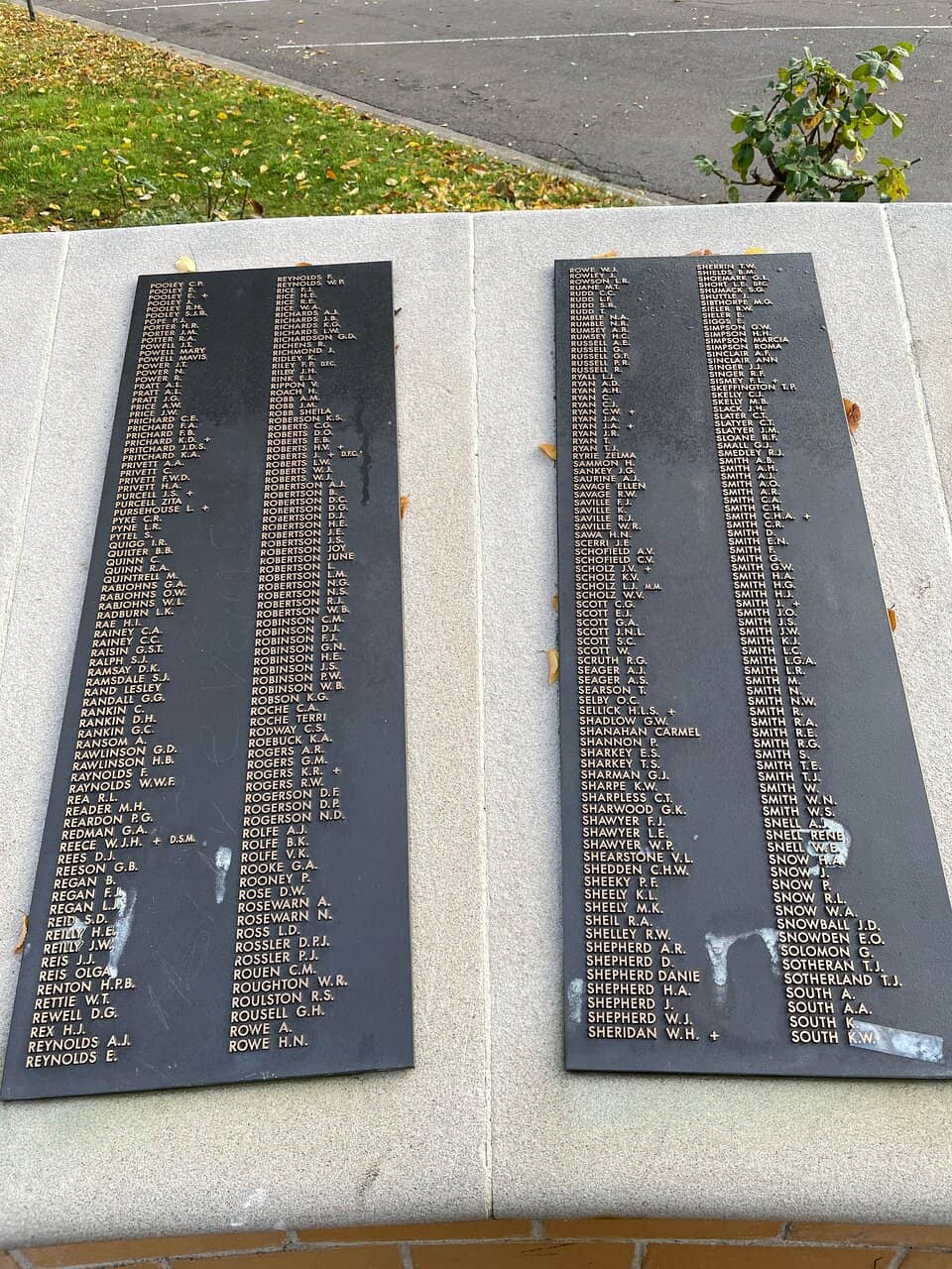 Mature Trees & Gardens