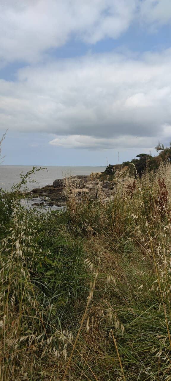 Gironde Sauvage Exhibition