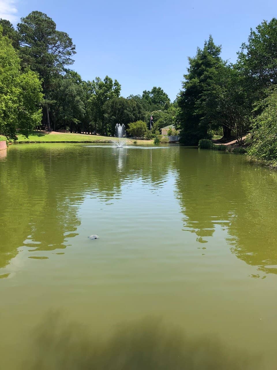 Koi Pond & Fountains