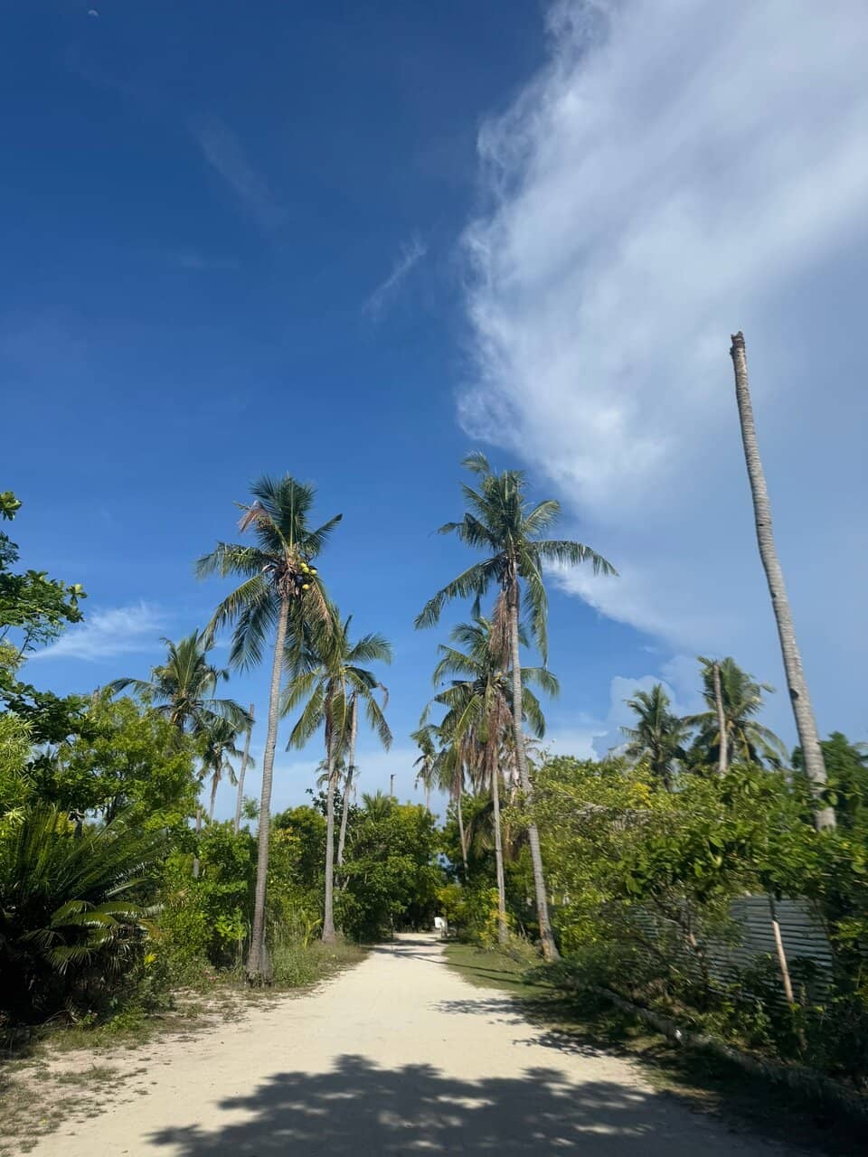 The Iconic Boardwalk