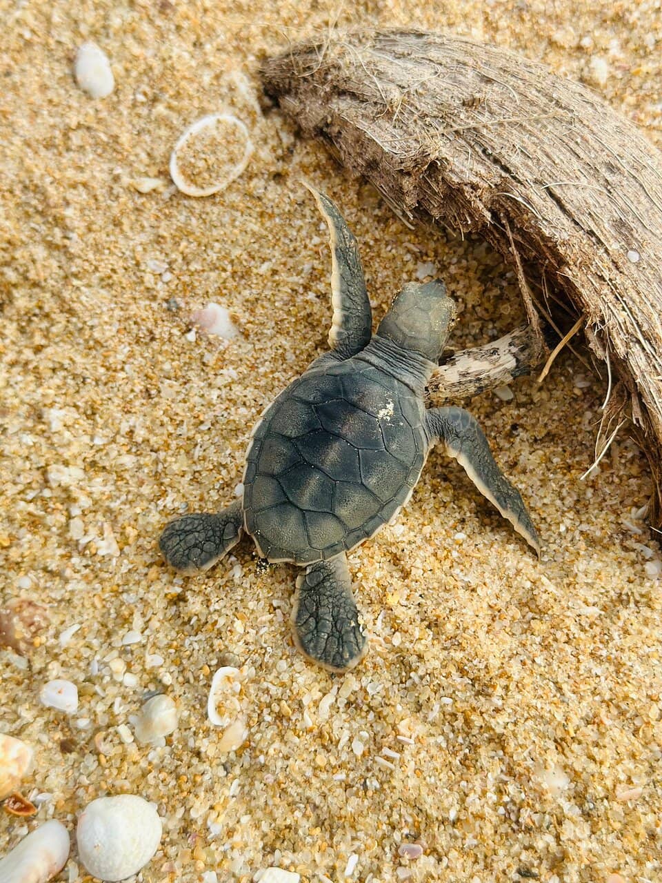 Educational Programs