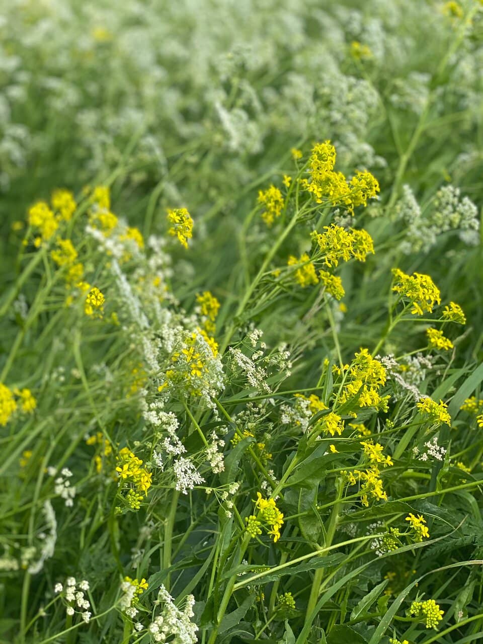 Majestic Natural Views