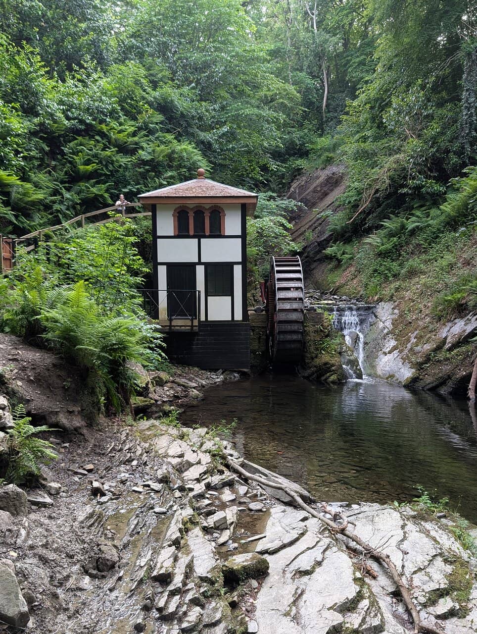 Sea Lion Rocks Tea Rooms
