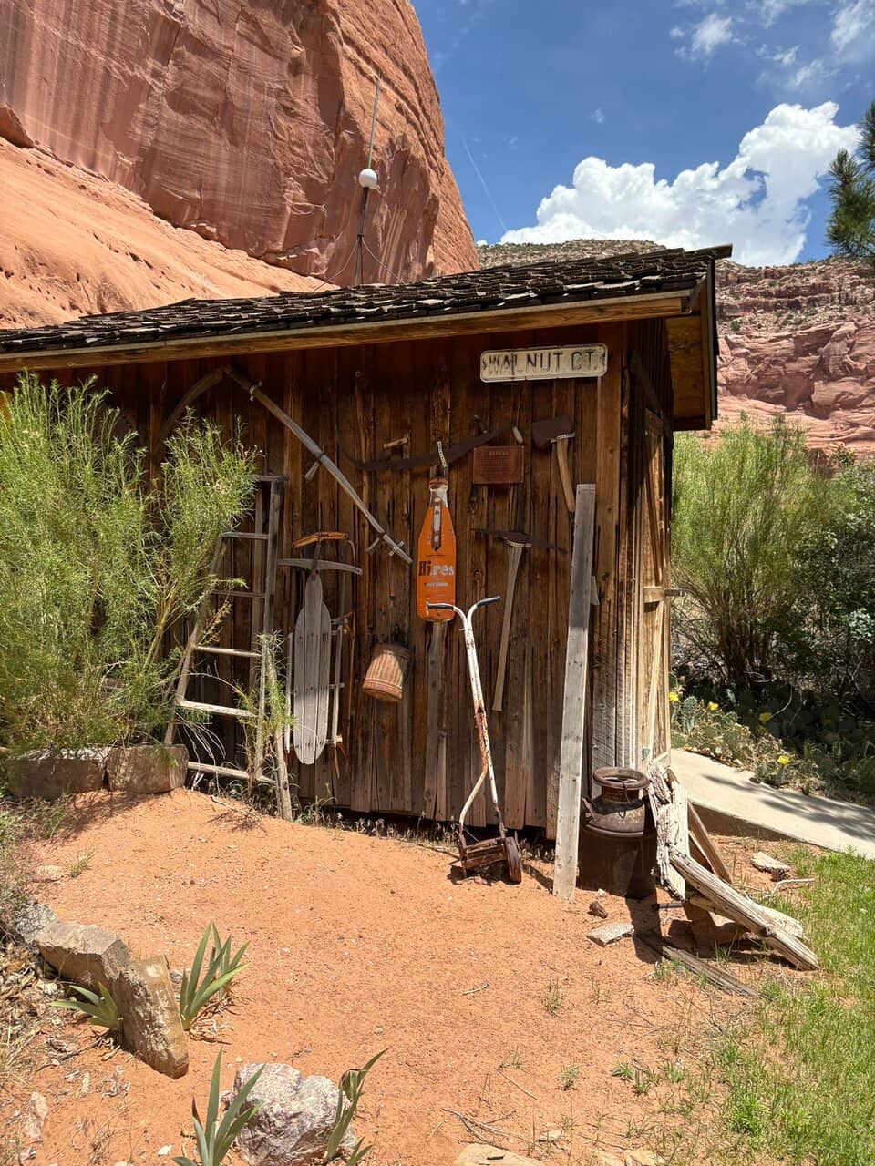 Quirky Grounds & Art