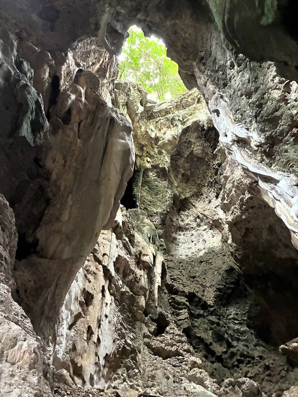 Vertical photo