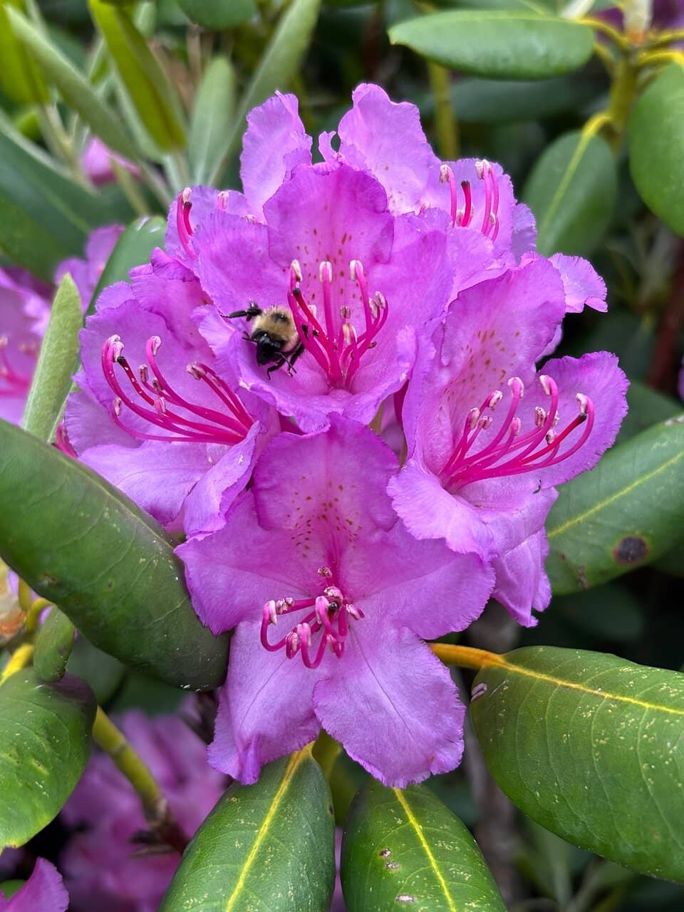 Sunset & Sunrise Views