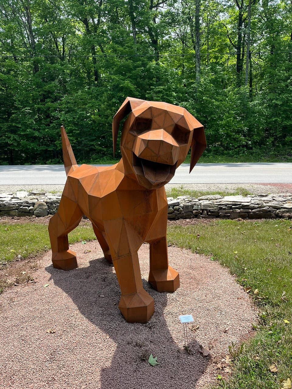 Magical Woodland Setting