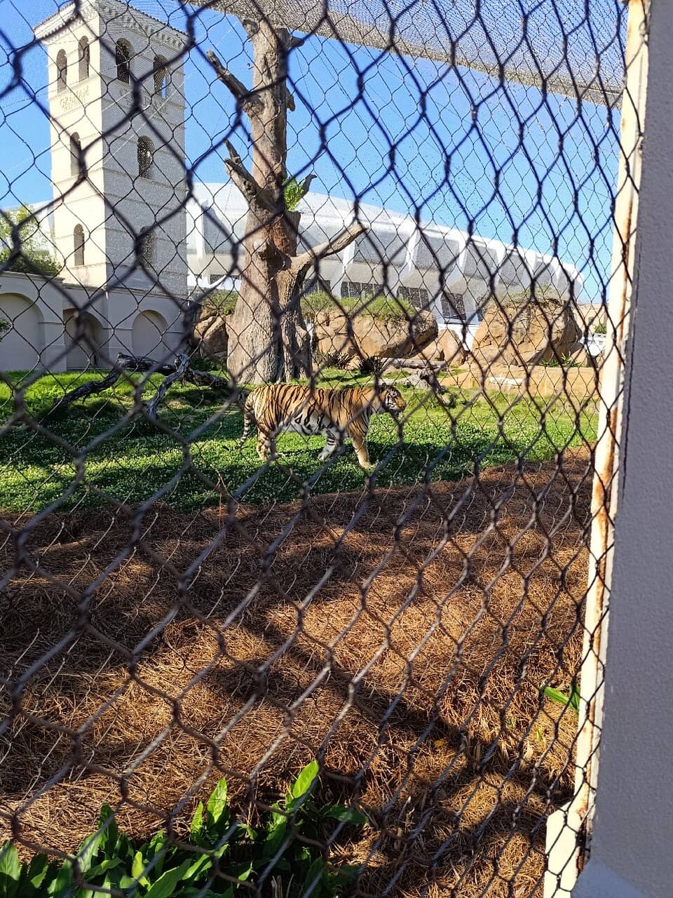 The 'Death Valley' Atmosphere