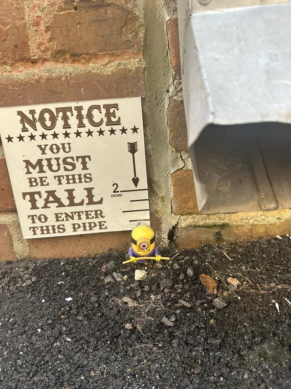 Rotating Art Exhibits