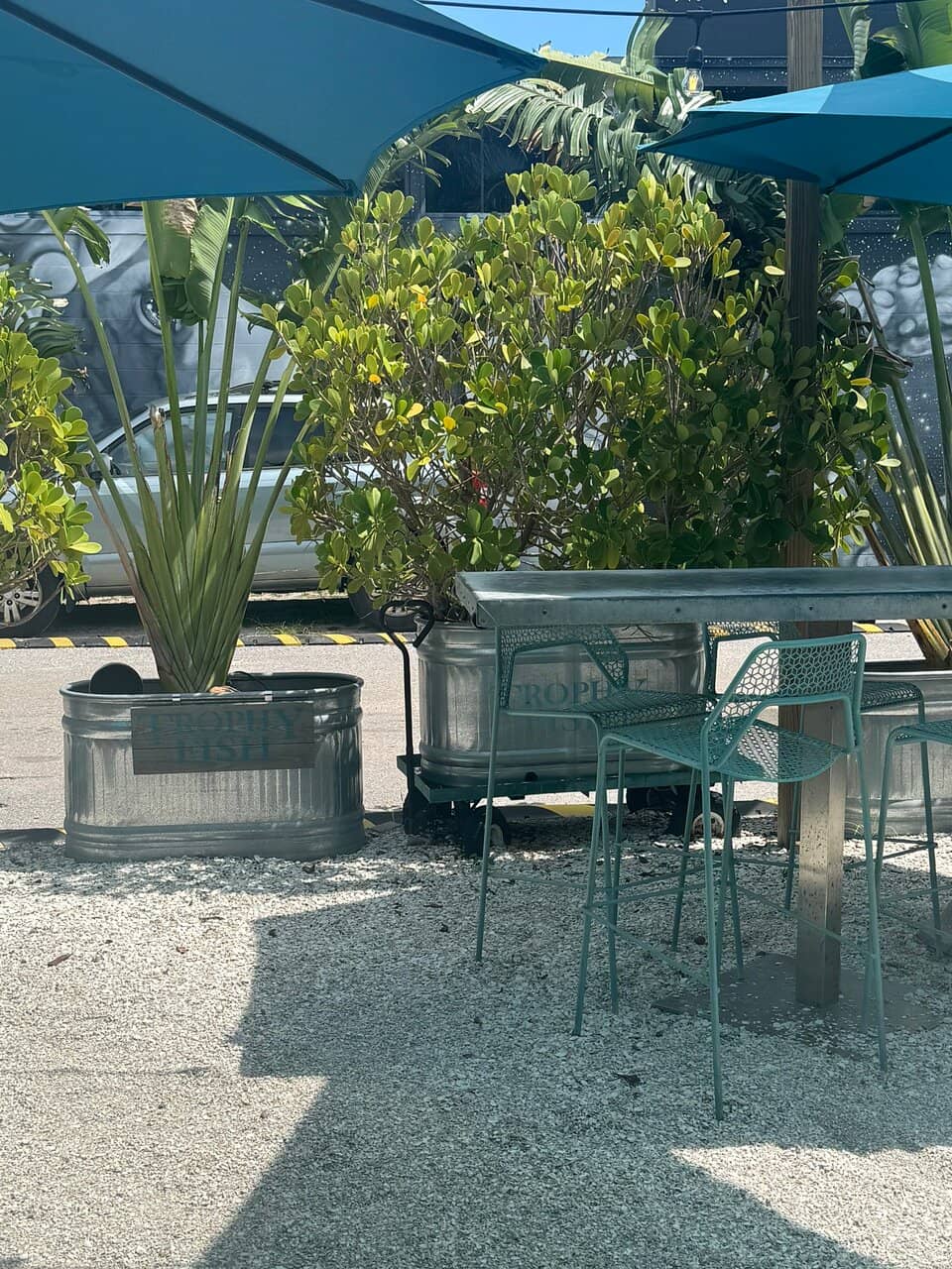 Laid-back Beach Bar Ambiance